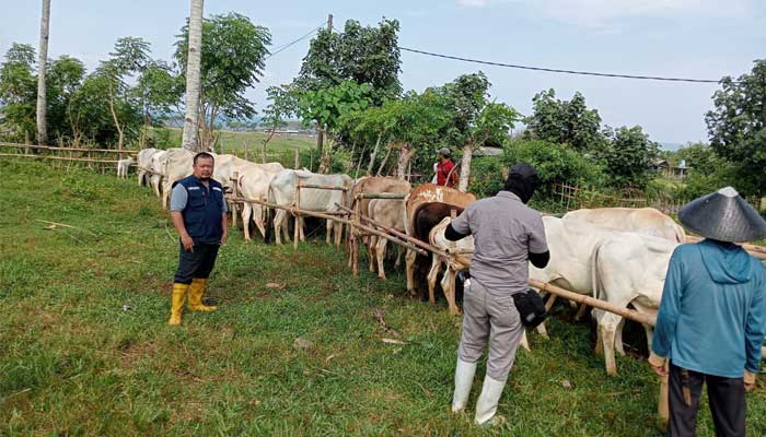 Dinas Peternakan kabupaten sukabumi