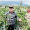 Kampung hortikultura ramah lingkungan di Desa Nanggerang, Sukabumi