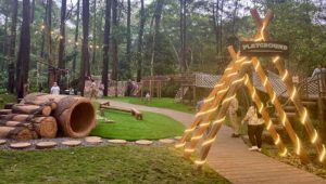 Keajaiban Alam di Enchanting Forest The Grand Taman Safari Prigen, Destinasi Favorit Baru Pilihan Keluarga di Jawa Timur
