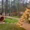 Taman Safari Prigen