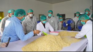 Eksplorasi Kerjasama Lintas Negara, PT. Azaki Food Internasional Sambut Hangat Kedatangan Lieutenant Governor of Nebraska-USA