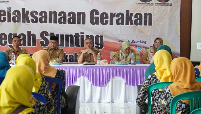 Wakil Bupati Sukabumi