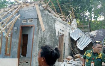 RUSAK PARAH : Kondisi rumah warga di Simpenan Sukabumi rusak tertimpa pohon roboh.(FOTO : UNTUKRADARSUKABUMI)
