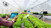 Penggunaan Sistem Otomatis Pada Produksi Tanaman