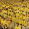 Munas ke-XI Partai Golkar 2024 di JCC, Senayan, Jakarta, Rabu malam (21/8)/RMOL
