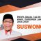 Bakal Cawagub Jakarta Suswono/Ist