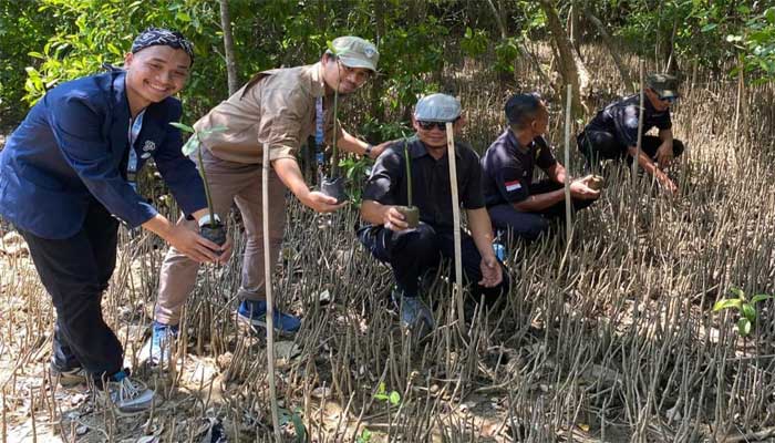 DLH Sukabumi Tanam Mangrove dan Rumah Terumbu Karang