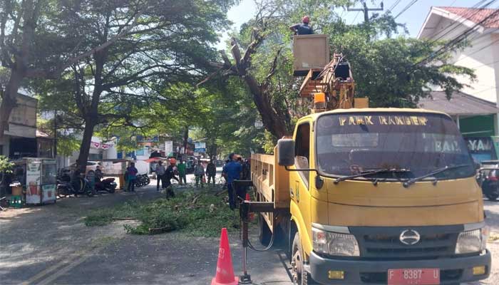 Forkopimcam-Palabuhanratu Kabupaten Sukabumi
