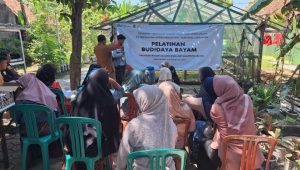 Pertamina Patra Niaga Regional Jawa Bagian Barat Berdayakan Kelompok Wanita Tani Lewat Budidaya Bayam