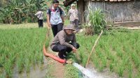 Tingkatkan Produktivitas, Kementan Lakukan Monitoring Program Pompanisasi di Kabupaten Bogor