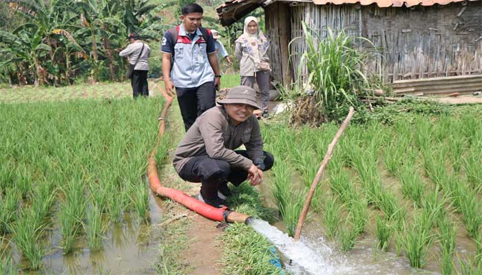 Kementan Lakukan Monitoring Program Pompanisasi