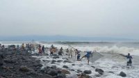 Cerita Warga Sukabumi Berburu Impun di Pantai Loji