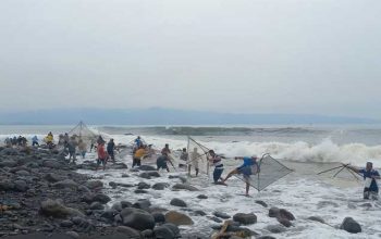 Hampir setiap tahun, warga sekitar pantai loji Kecamatan Simpenan Kabupaten Sukabumi memburu ikan impun. Berdasarkan video yang tersebar di media perpesanan