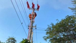 Jelang Hari Pelanggan Nasional, PLN UP3 Sukabumi Jaga Keandalan Listrik dengan Pemeliharaan Tanpa Padam