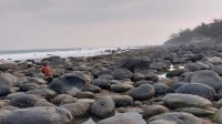 Serunya Berburu Kerang di Pantai Kamboja Cikakak Sukabumi, Sambil Menikmati Matahari Terbenam