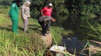 Polbangtan Kementan Genjot Pompanisasi di Cileungsi Dukung Ketahanan Pangan
