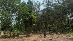 Potret Puluhan Makam Keramat Palabuhanratu Terindikasi Palsu, Budayawan: Dijadikan Praktek Perdukunan