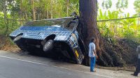 Potret Bus MGI Jurusan Palabuhanratu-Bogor Hantam Pohon di Bantargadung