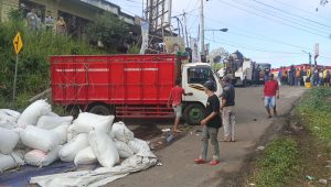 Truk Muatan Pupuk Kandang di Nyalindung Terjungkal