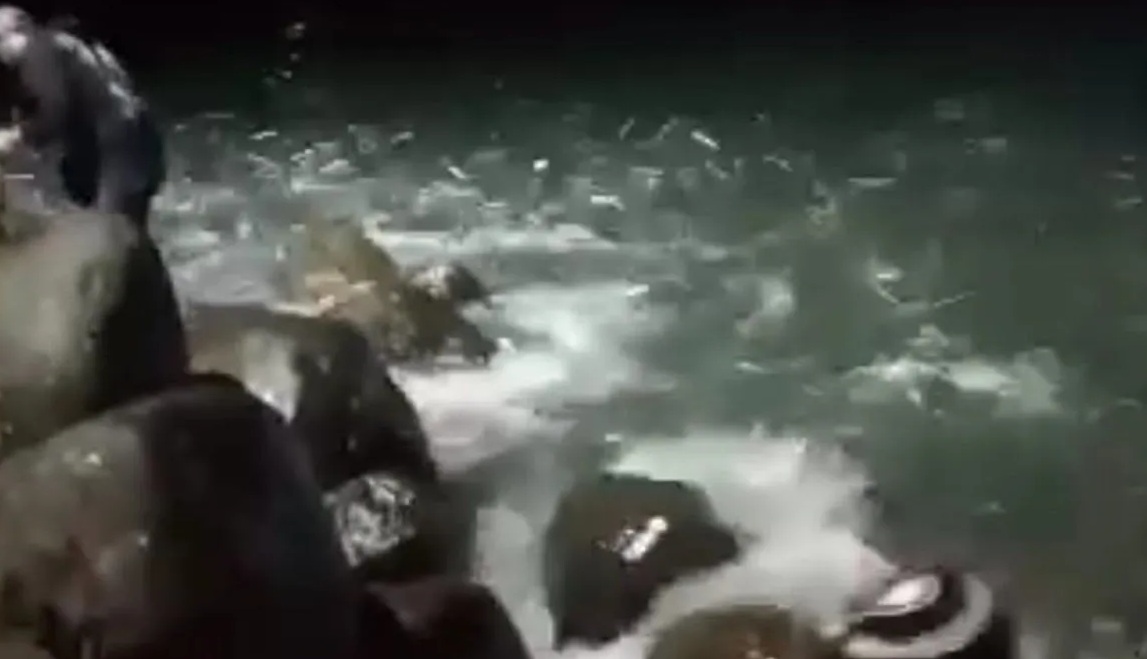 Nelayan di Pantai Jayanti, Kecamatan Cidaun, Cianjur, Jawa Barat, menangkap banyak ikan yang mendekati pantai saat musim kemarau. (Ahmad Fikri)