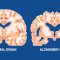 Dokter Spesialis Neurologi mengungkapkan bahwa gadget tingkatkan resiko disfungsi otak salah satunya alzheimer bagi genarasi muda.-freepik-