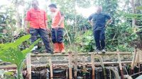 BPBD Kota Sukabumi Tinjau TPT di Kampung Tegalwangi yang Ambruk
