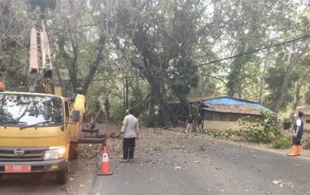 Forkopimcam Palabuhanratu Sukabumi