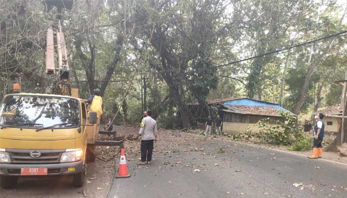 Forkopimcam Palabuhanratu Sukabumi