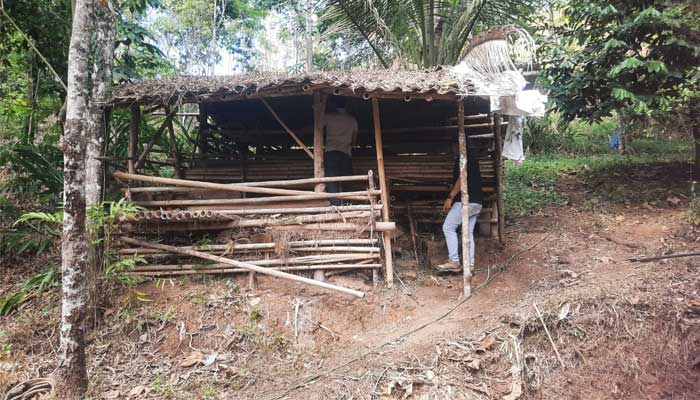 Hewan Ternak Gandasoli Sukabumi