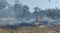 Kandang Ayam di Palabuhanratu Sukabumi Hangus Terbakar