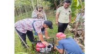 Bantu Petani, Kementan Maksimalkan Pompanisasi di Desa Mekar Sari, Bogor