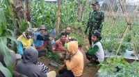 Jaga Ketahanan Pangan, Peltu Iwan Subekti Gencarkan Penyuluhan di Sukaraja