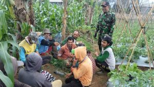 Jaga Ketahanan Pangan, Peltu Iwan Subekti Gencarkan Penyuluhan di Sukaraja
