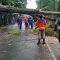 Pohon Tumbang Cikembar Sukabumi