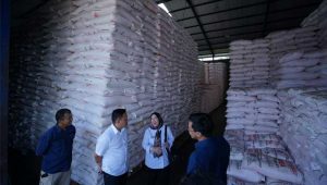 Memasuki Musim Tanam di Kabupaten Sukabumi, Stok Pupuk Subsidi Aman