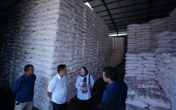 Pupuk Subsidi di Sukabumi