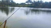 Rawa Talanca Sukabumi, Surga Tersembunyi bagi Para Pemancing