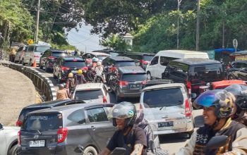 Jalur Puncak, Cianjur, Jawa Barat, mengalami antrean sejak Minggu pagi, sehingga petugas melakukan sistem buka tutup satu arah menuju Bogor lebih cepat, Minggu (15/9/2024). (Ahmad Fikri)