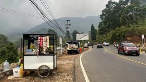 Munculnya Pedagang Gaya Baru di Kawasan Puncak, Pj Sekda: Usir!