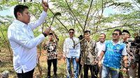 Terus Kembangkan Bahan Co-Firing Biomassa, PLN Bersama Kementan Luncurkan Model Pertanian Terpadu