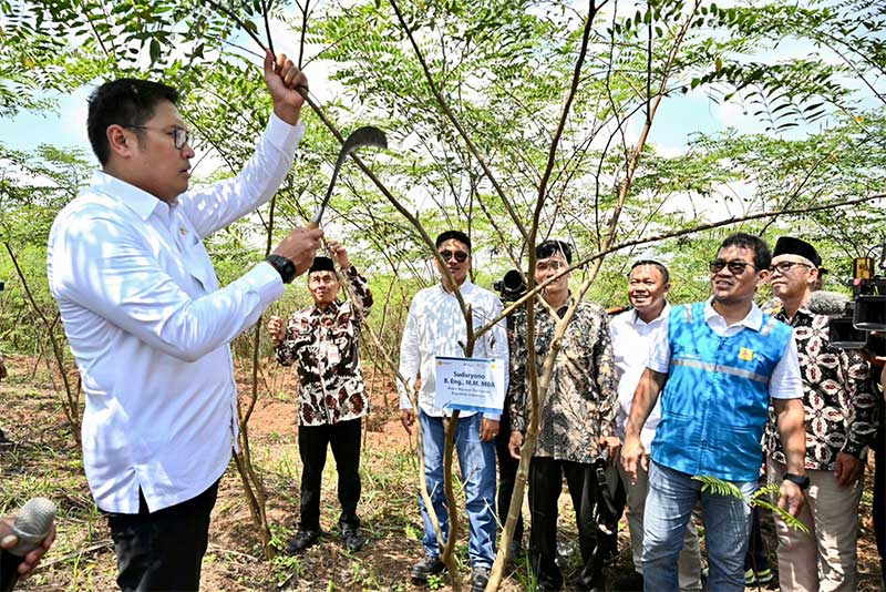 Wakil Menteri Pertanian, Sudaryono