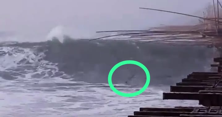 Sebuah video viral di media sosial tentang kondisi nelayan dan pemancing terombang ambil usai terseret gelombang tinggi, Rabu (16/10/2024) sekira pukul 06:00 WIB.