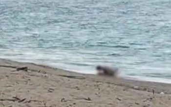 Tangkapan layar video berdurasi 29 detik yang menampilkan adegan sepasang WNA diduga berbuat mesum di pesisir Pantai Kuta Mandalika, Lombok Tengah, NTB, Rabu (2/10/2024).