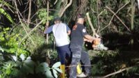 BPBD Kota Sukabumi Gercep Evakuasi Pohon Tumbang di Jalan Brawijaya