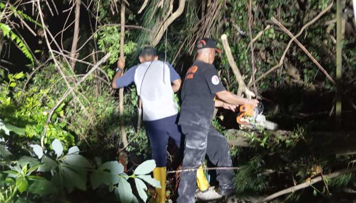 BPBD Kota Sukabumi Gercep Evakuasi Pohon Tumbang
