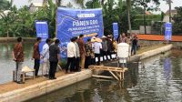 Wamen Kominfo Panen Raya di Sukabumi, Teknologi Iot eFishery Tingkatkan Efisiensi Budidaya Ikan