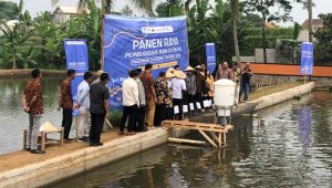 Wamen Kominfo Panen Raya di Sukabumi, Teknologi Iot eFishery Tingkatkan Efisiensi Budidaya Ikan