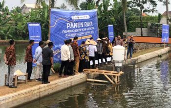 Budidaya Ikan Digital Sukabumi