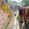 DLH Kota Sukabumi Pencemaran Lingkungan