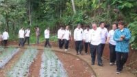 DP3A Kabupaten Sukabumi Beri Perhatian Penuh Lomba P2WKSS di Desa Cicareuh